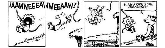 Calvin & Hobbes: Calvin of the Apes